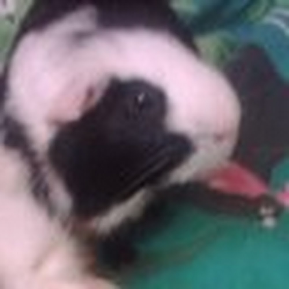 Meet your Posher, Vicky